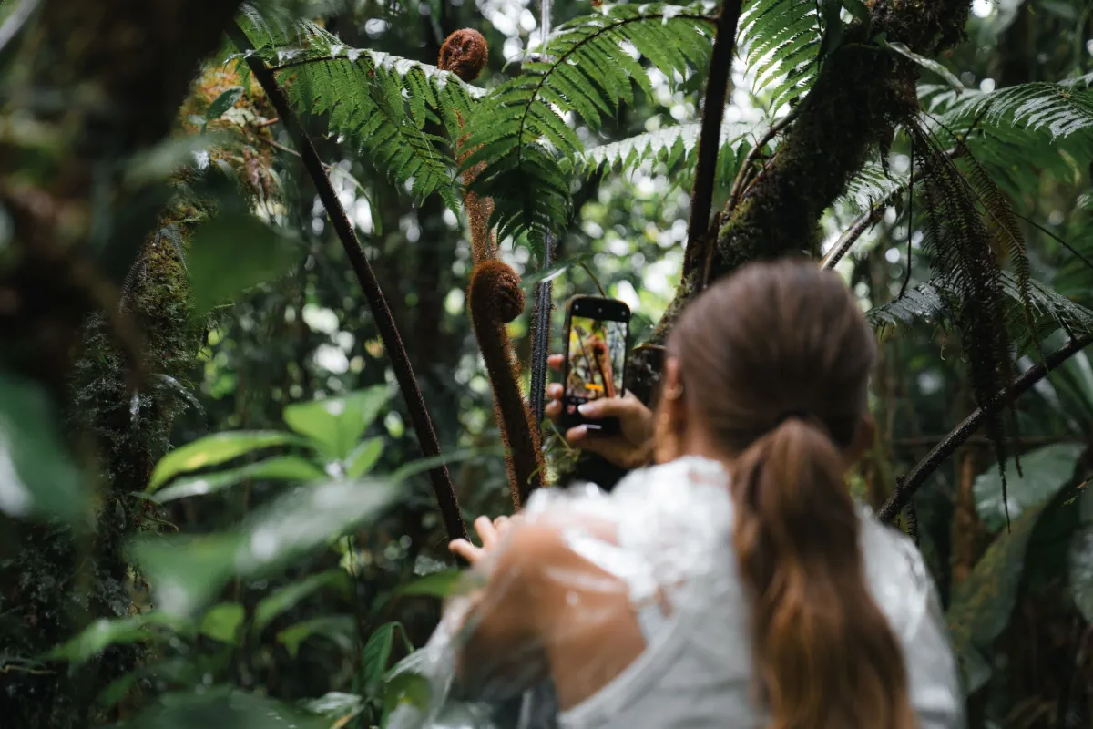 Arenal Volcano Day Tour - Image 1