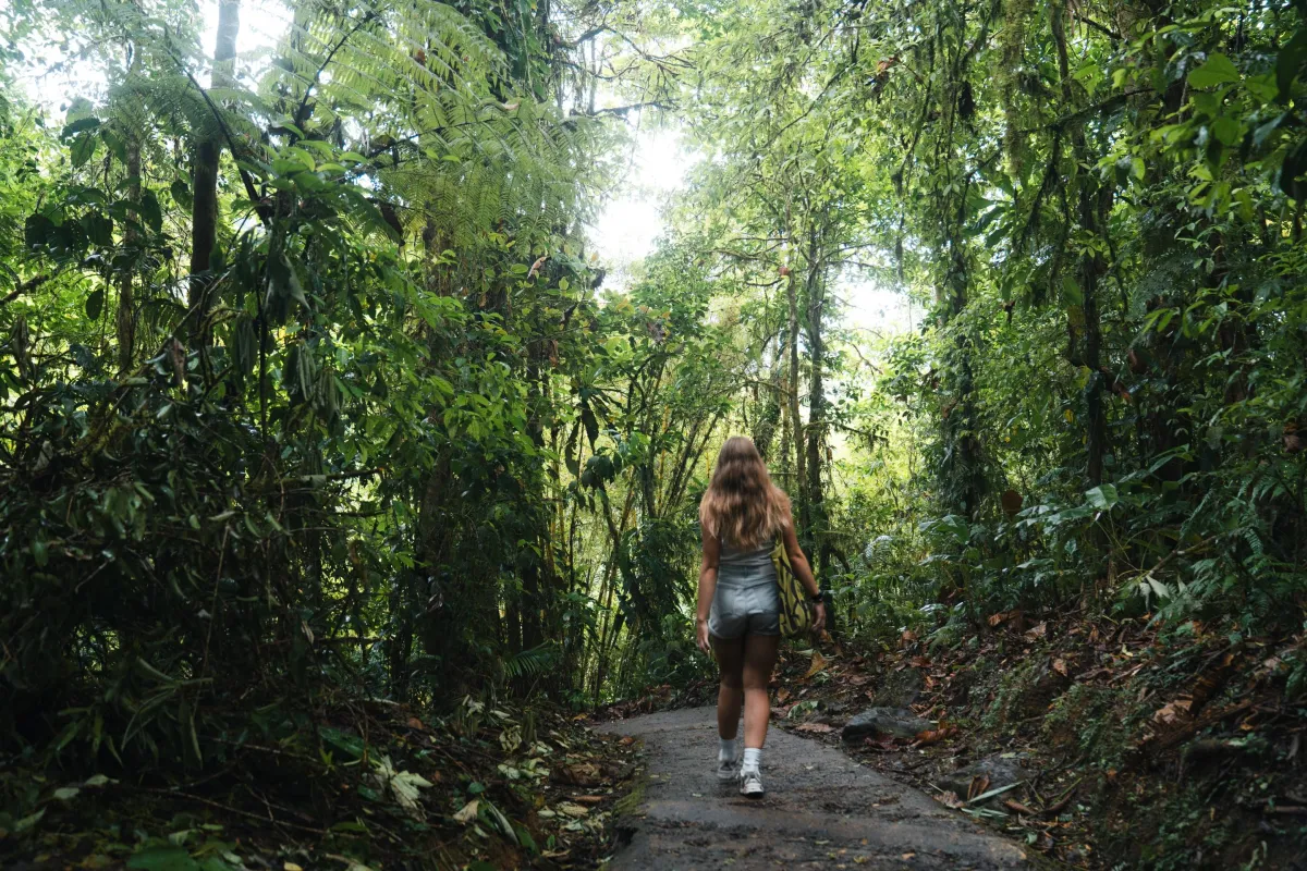 Arenal Volcano Day Tour - Image 2