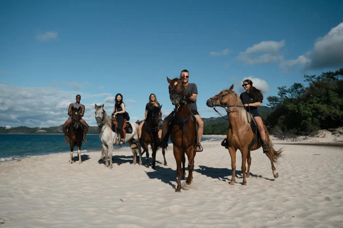 Beach Horseback Riding Tour - Image 2