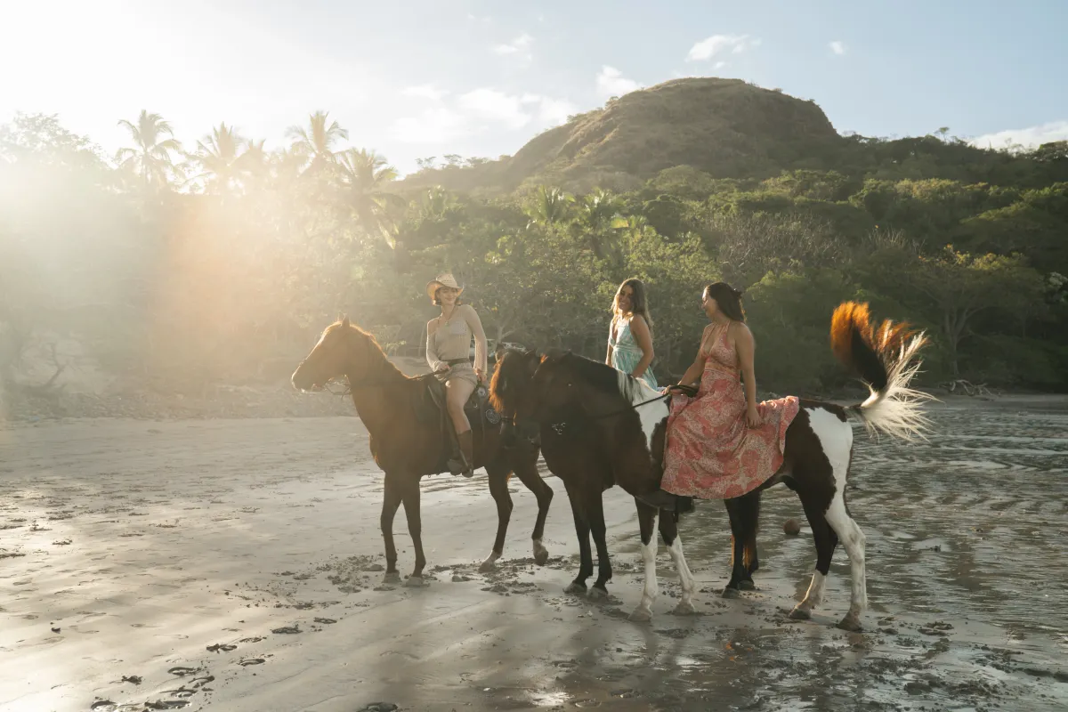 Tropical Riding Beach & Jungle Horseback Riding Tour - Tamarindo Tours