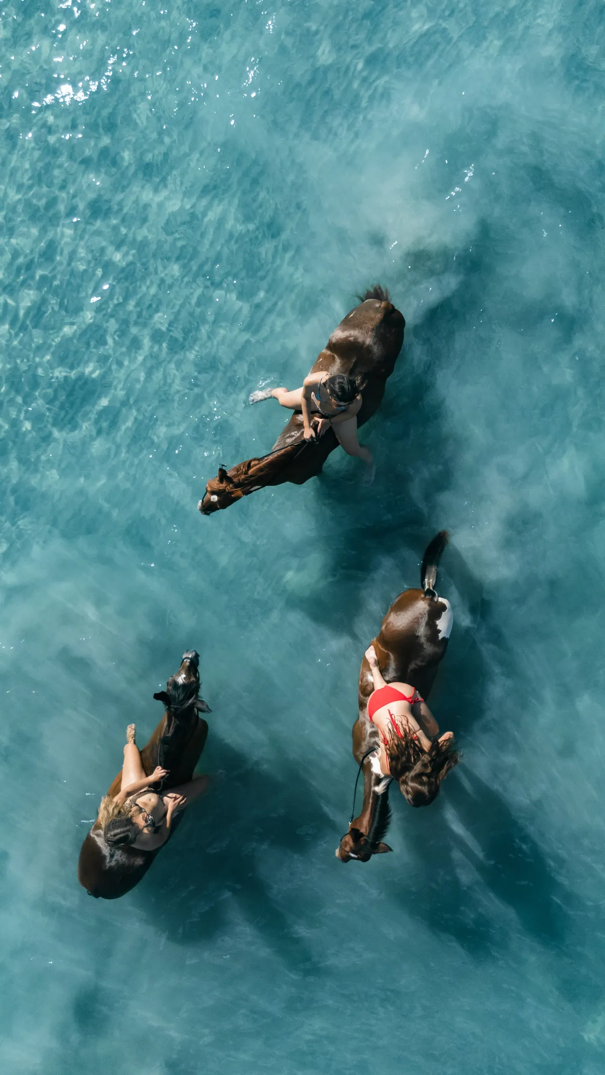 Beach Horseback Riding Tour - Image 4