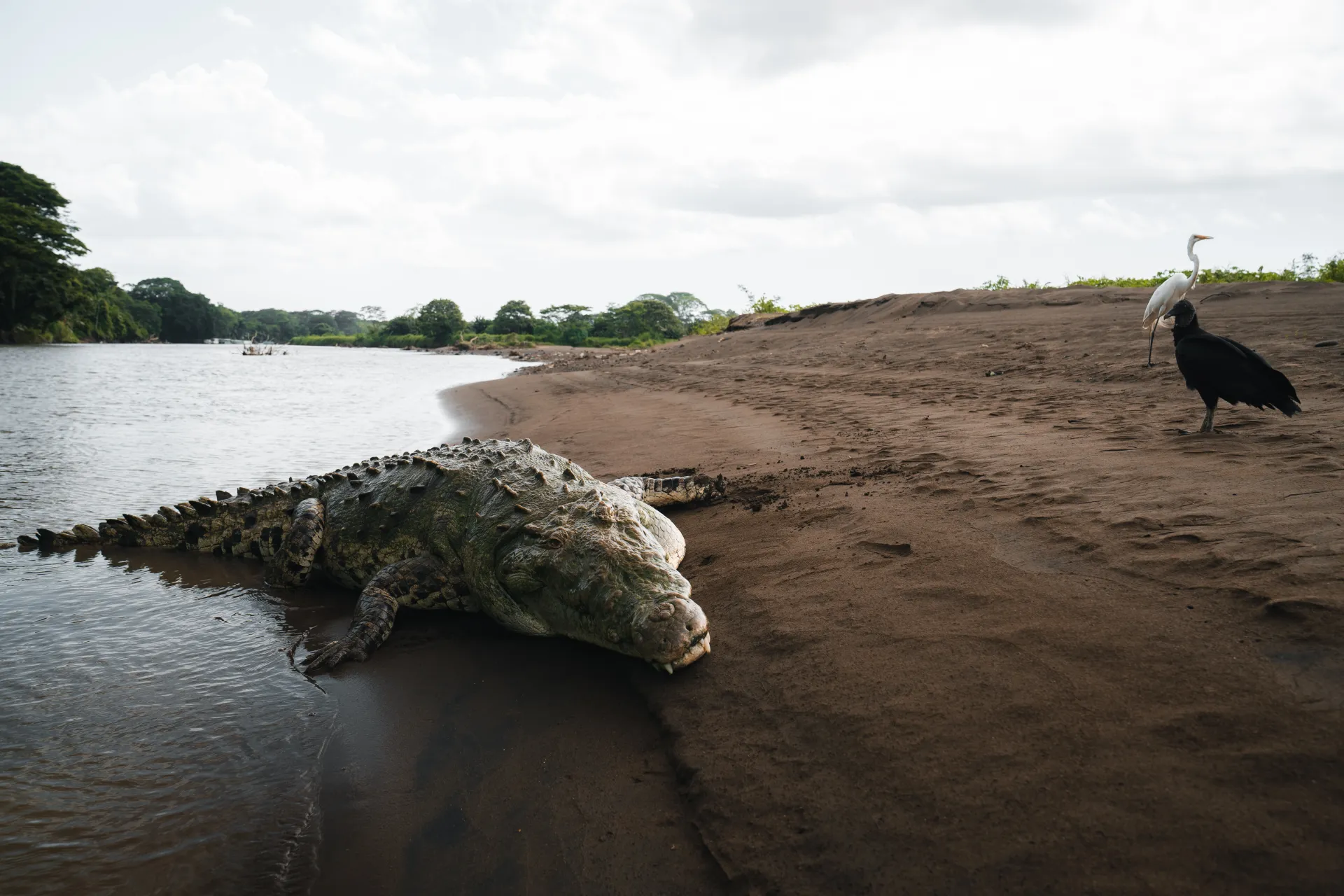 Palo Verde National Park Boat Safari