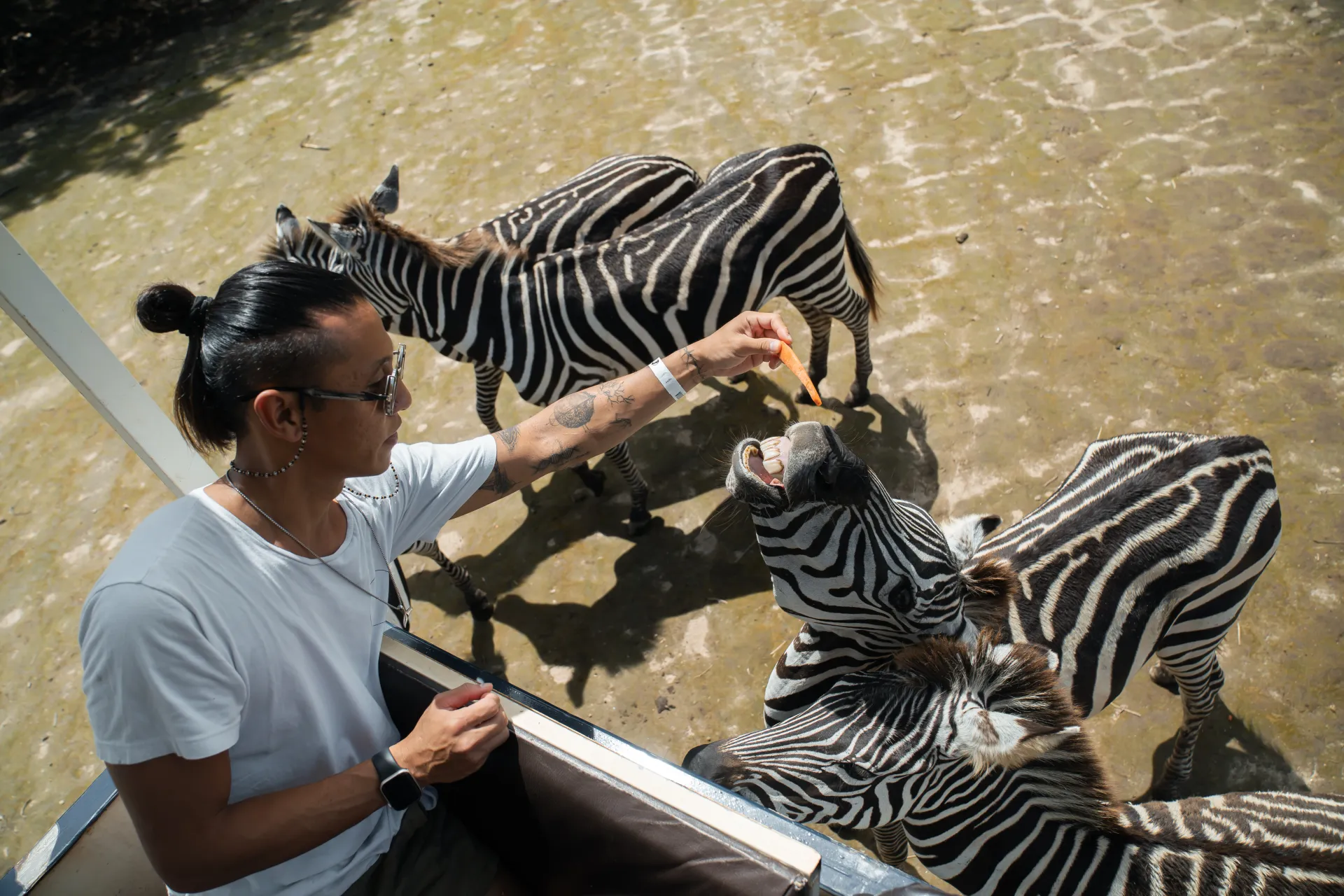 Ponderosa Wildlife Safari & La Perla Waterfall