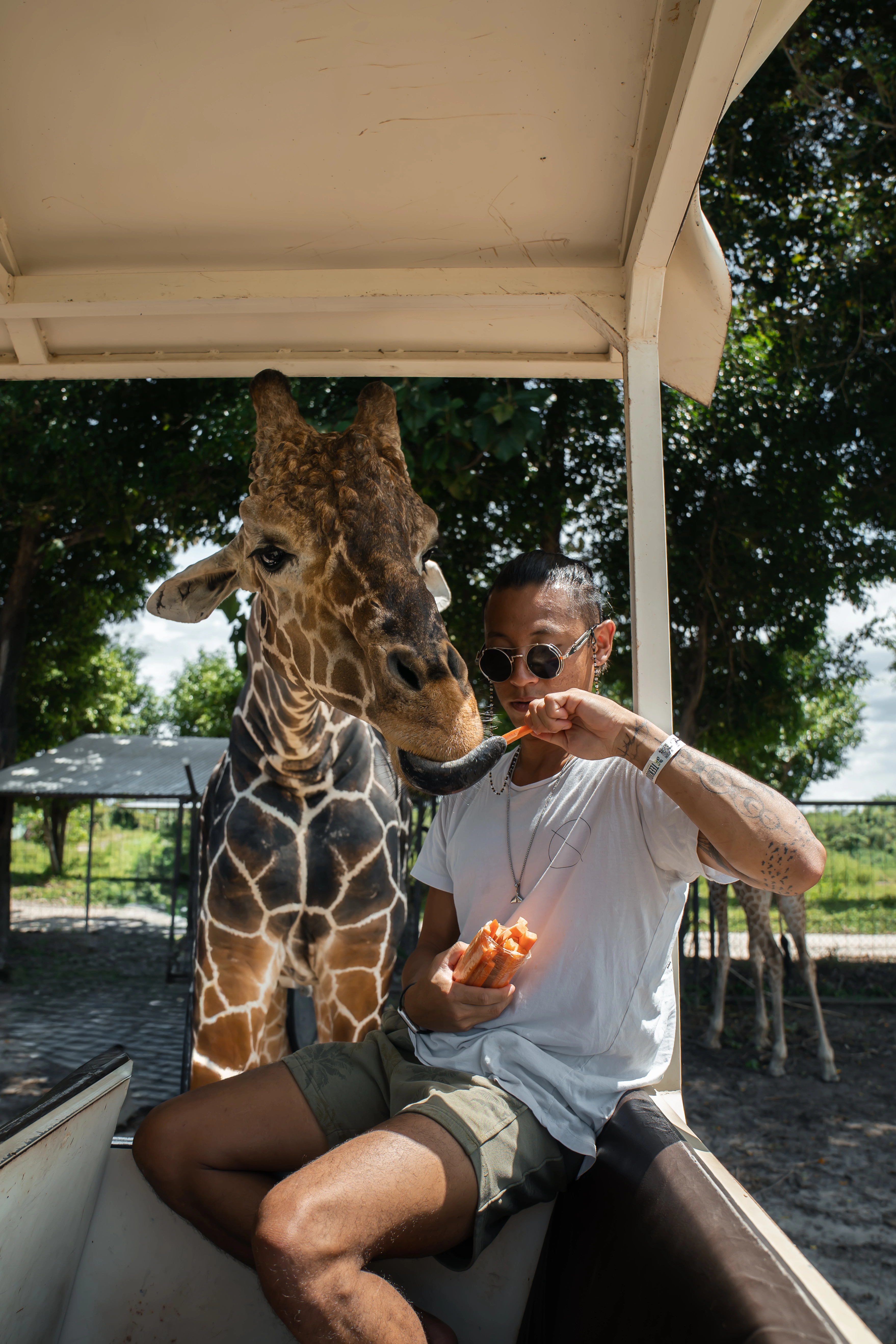 Ponderosa Wildlife Safari & La Perla Waterfall