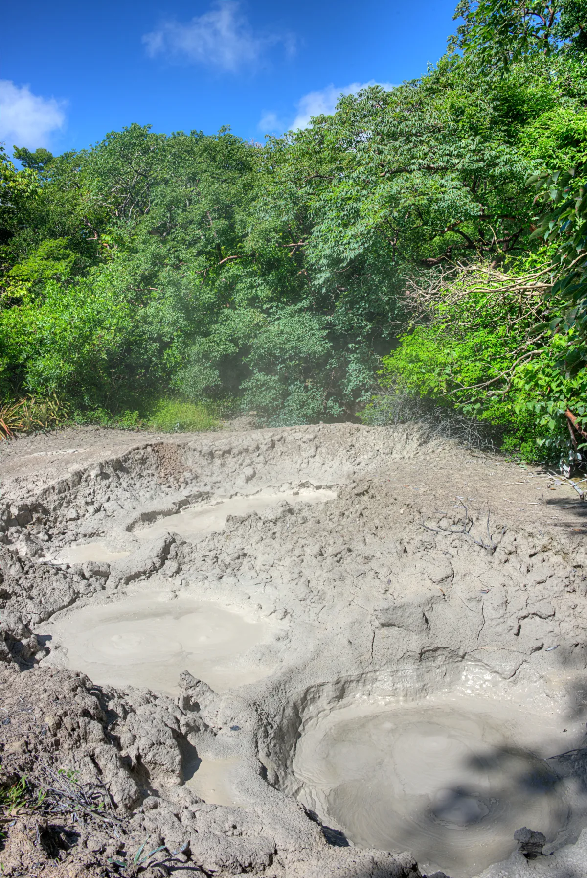 Rincón de la Vieja Volcano Hike - Image 4