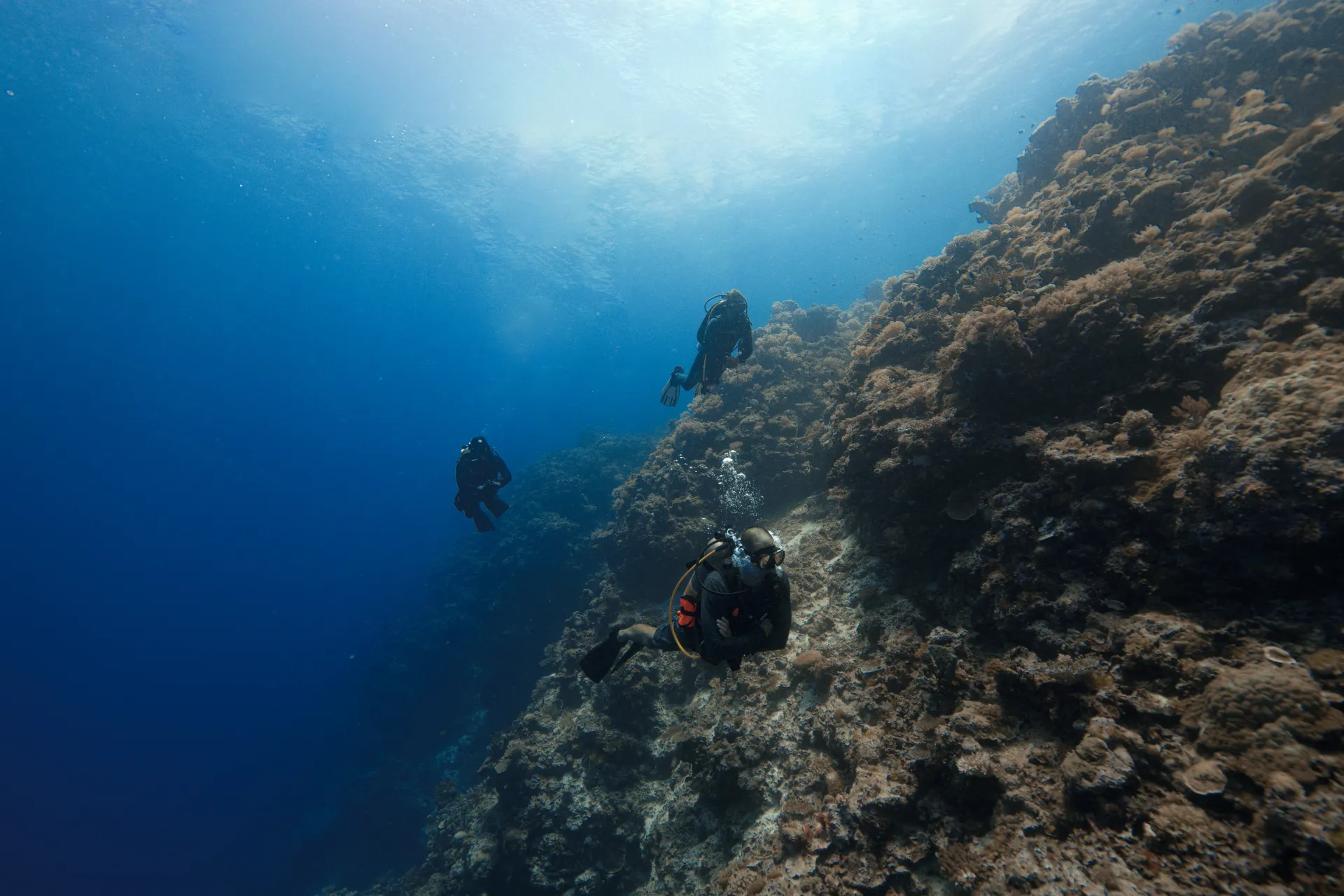 Tamarindo Scuba Diving Tour