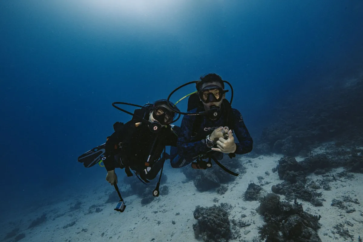 Tamarindo Scuba Diving Tour - Image 2