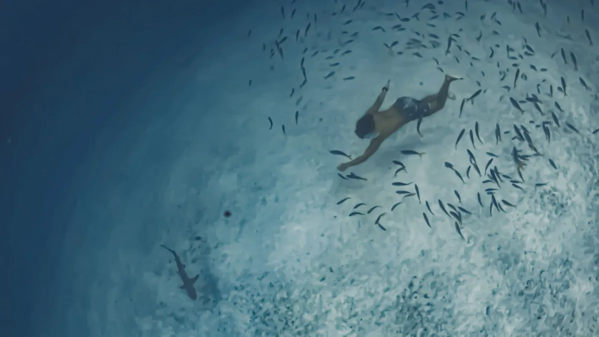 Snorkel Tour, Catalina Islands - Image 3