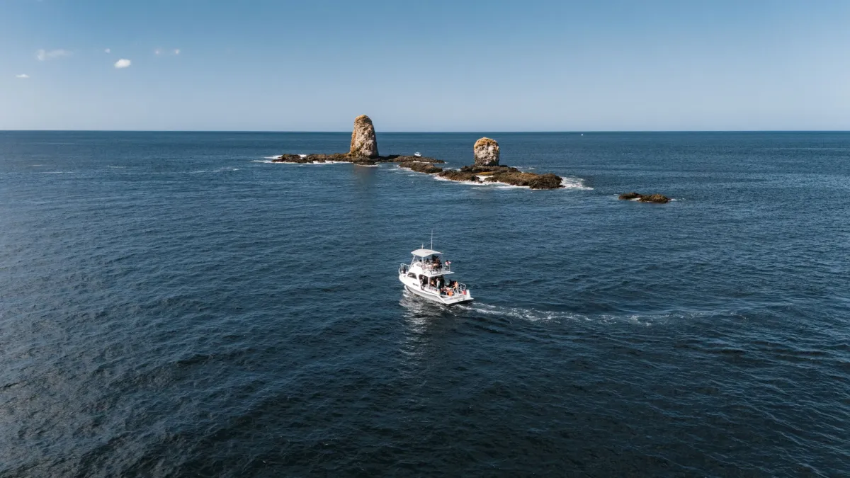 Snorkel Tour, Catalina Islands - Image 4