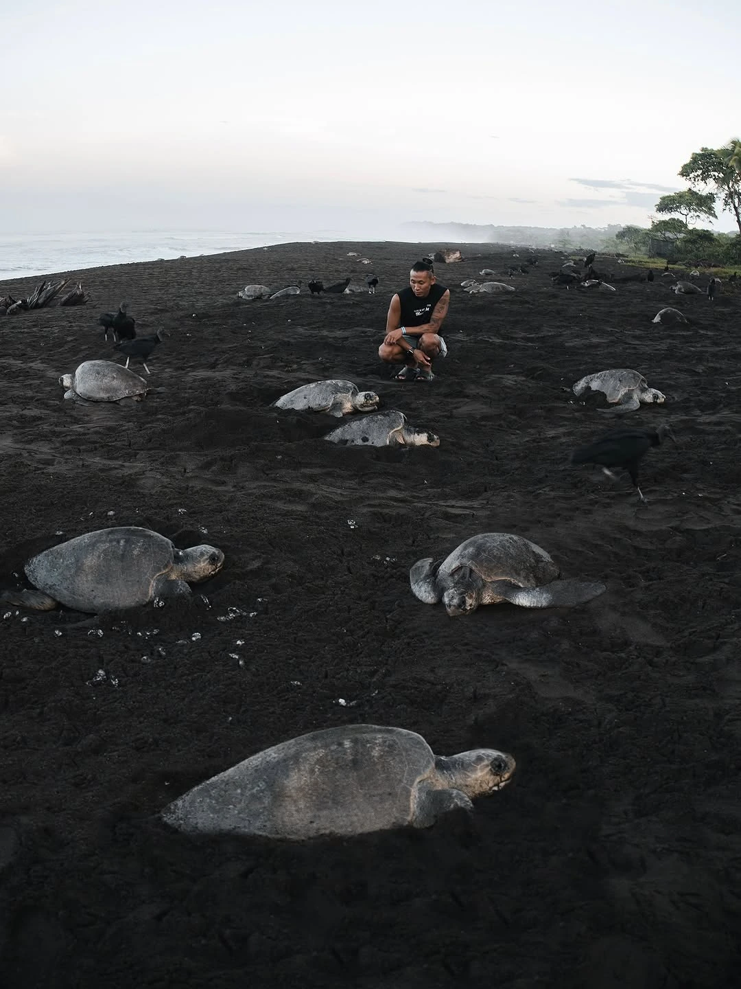 Special Arribada Turtle Tour