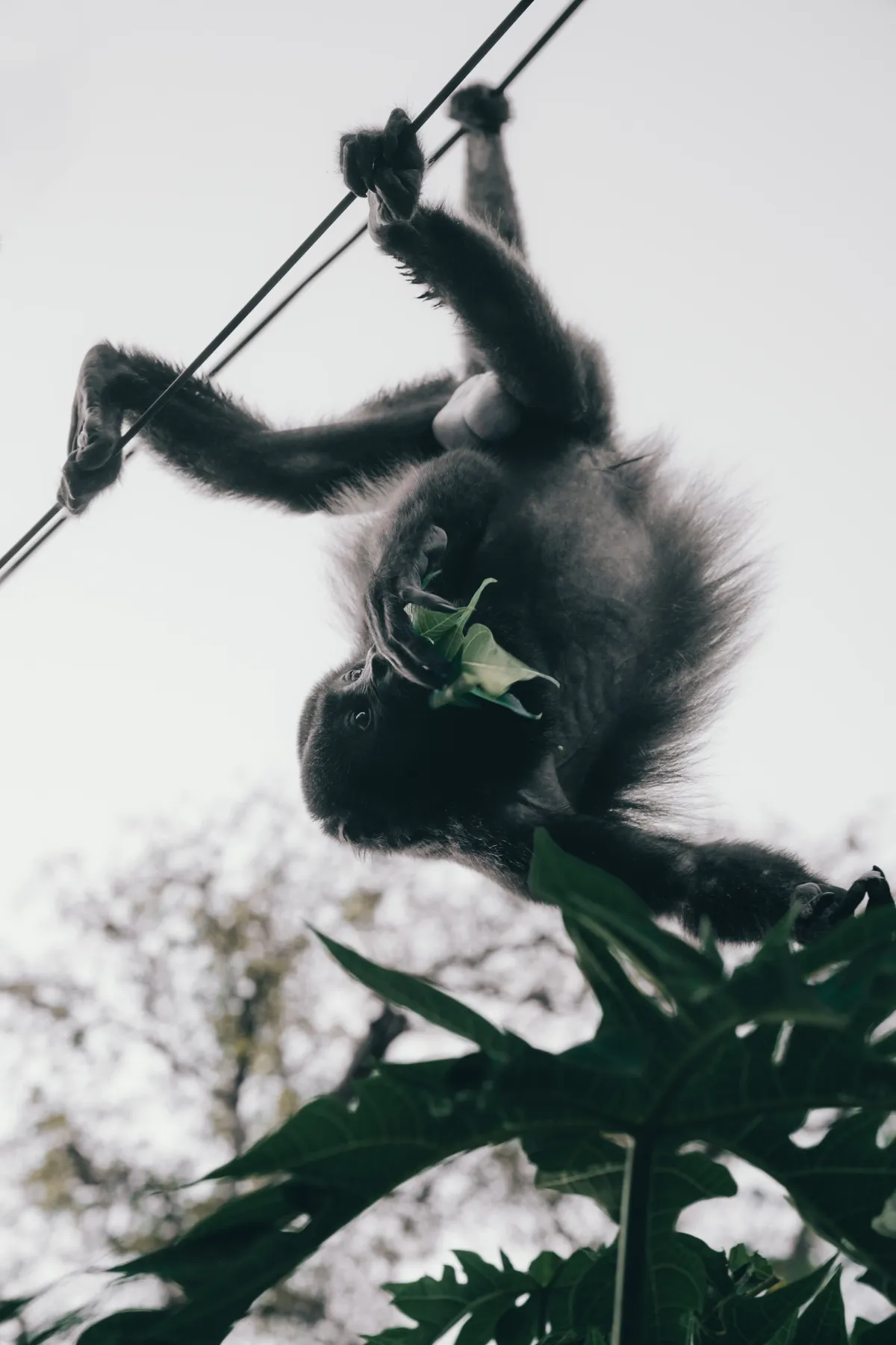 Tamarindo Estuary Boat Tour - Image 2
