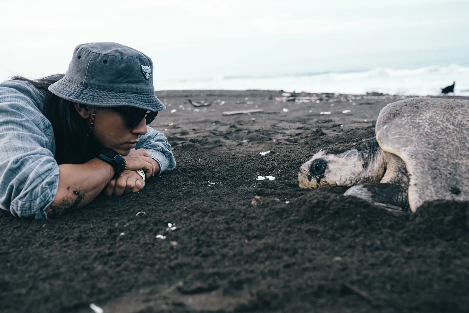 Tamarindo Turtle Watching Tour