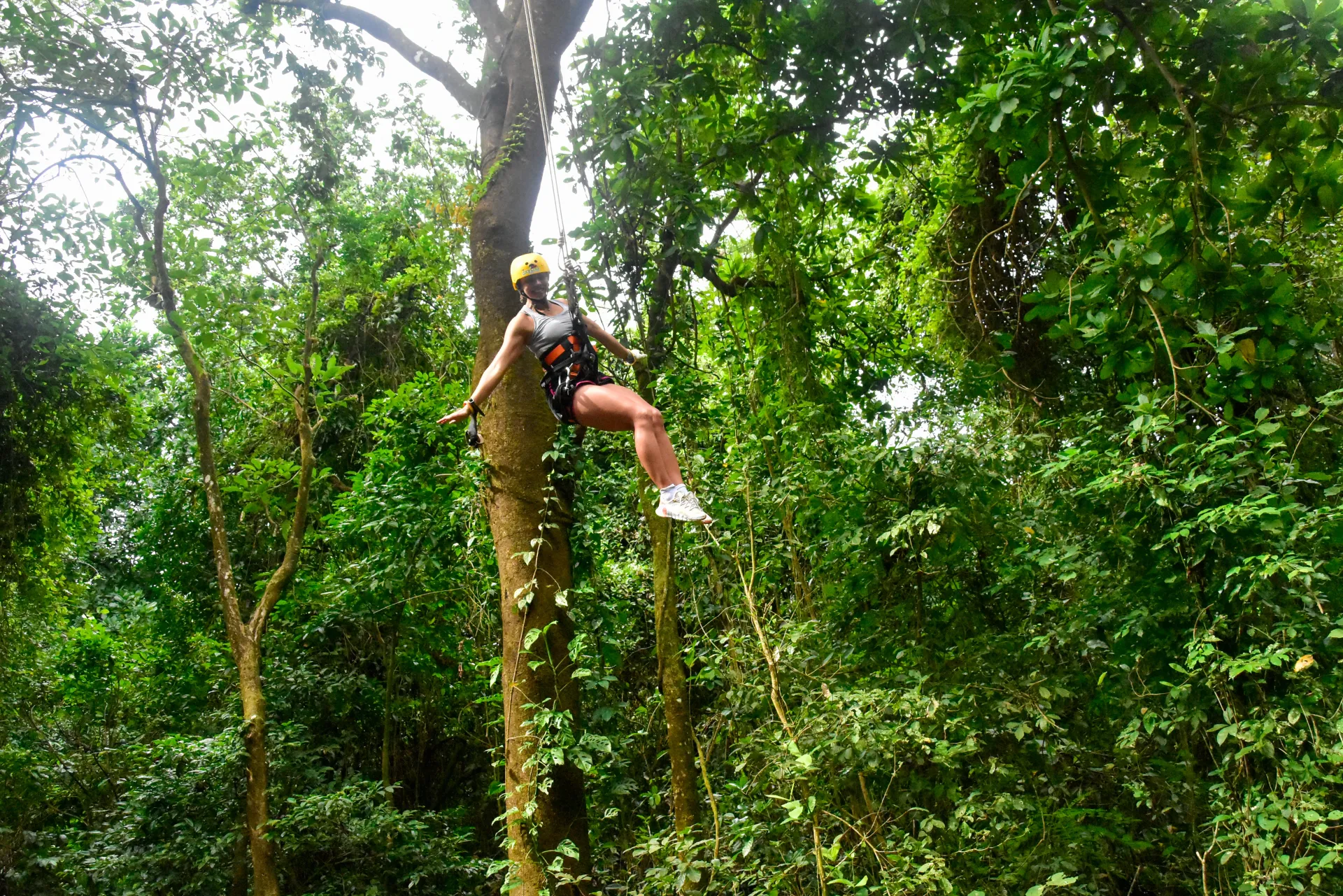 Tamarindo Zipline Tour