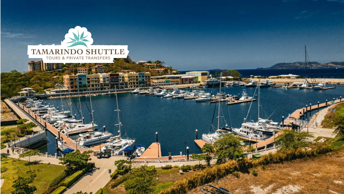 Liberia Airport to Flamingo