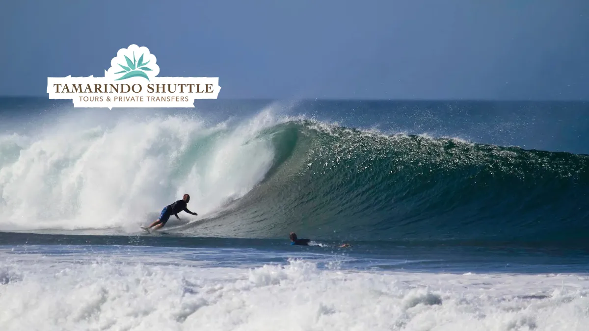 Liberia Airport to Marbella