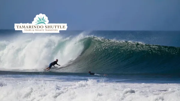 Liberia Airport → Marbella