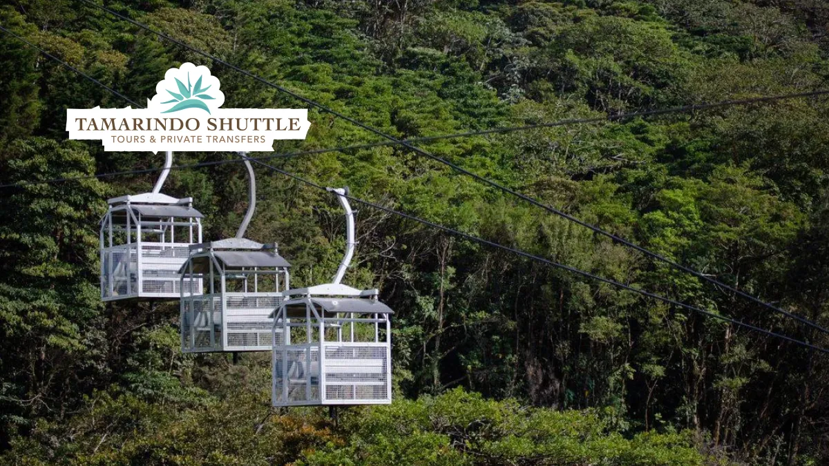 Liberia Airport to Monteverde