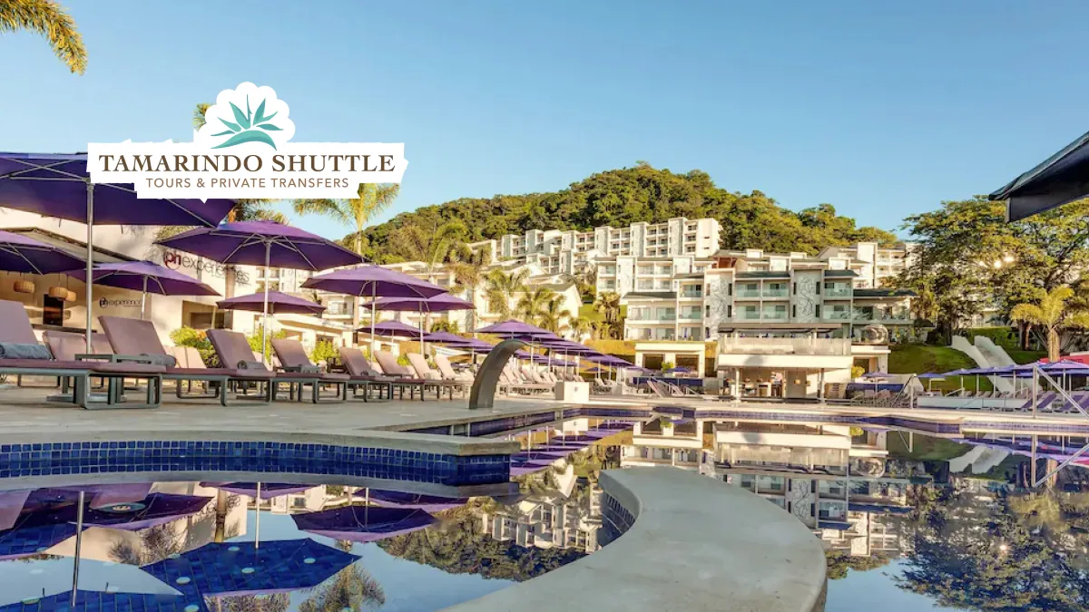 Liberia Airport to Planet Hollywood